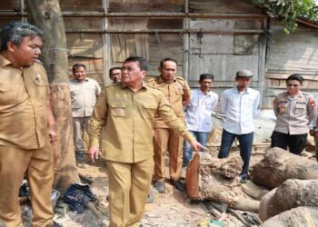 Anak 11 Tahun Tewas tertimpa Pohon Kedondong Tumbang di Teluknaga Tangerang