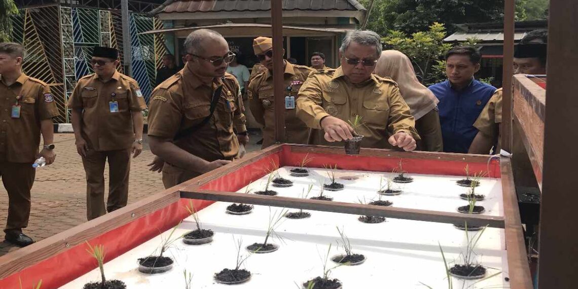 Benyamin Davnie menguji program tanam padi di tandon Tangsel untuk memperkuat ketahanan pangan dan mengkaji potensi penekanan inflasi.